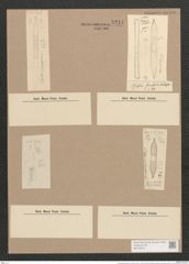 Synedra gaulardi Breb. et Arndt (de-Toni-Nr.: Genus 66, Species 2585) Zeichnungen Sammlung Grunow Nr. 5244 (NHMW-BOT-W0373618)